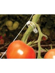CLIP TOMATE 23 MM