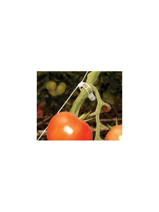 CLIP TOMATE 23 MM