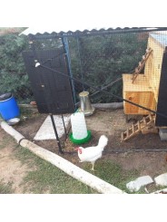 MALLA CERCADO AVES 16X16 ROLLOS