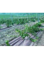 GEOTEXTIL PLANTEX GOLD 125 GR. ROLLOS