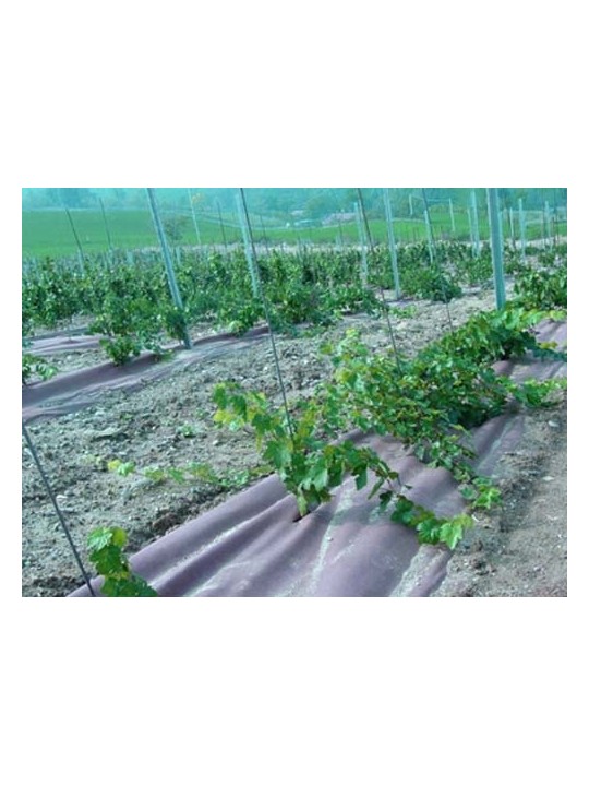 GEOTEXTIL PLANTEX GOLD 125 GR. ROLLOS