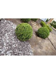 GEOTEXTIL PLANTEX GOLD 125 GR.AL CORTE