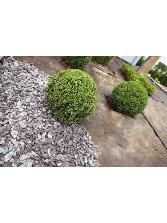 GEOTEXTIL PLANTEX GOLD 125 GR.AL CORTE