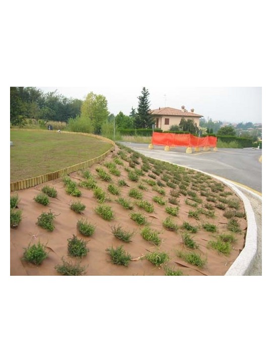GEOTEXTIL PLANTEX GOLD 125 GR.AL CORTE