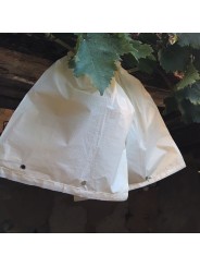 BOLSA UVAS CERRADA