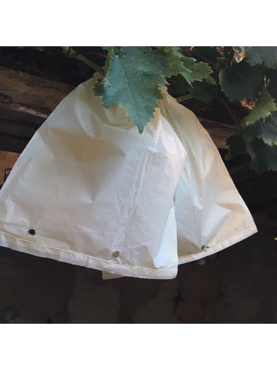 BOLSA UVAS CERRADA
