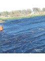 1.	ACOLCHADO G- 350 PERFORADO PARA LECHUGAS 4 X 150M