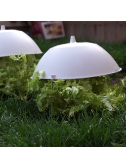 TAPA ESCAROLA 29,5 CMS