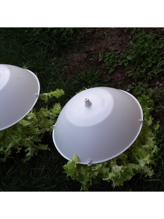 TAPA ESCAROLA 29,5 CMS 