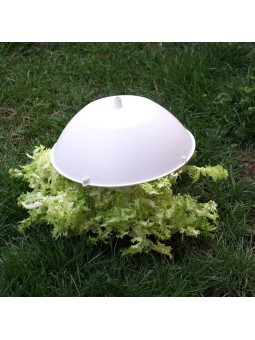 TAPA ESCAROLA 29,5 CMS 