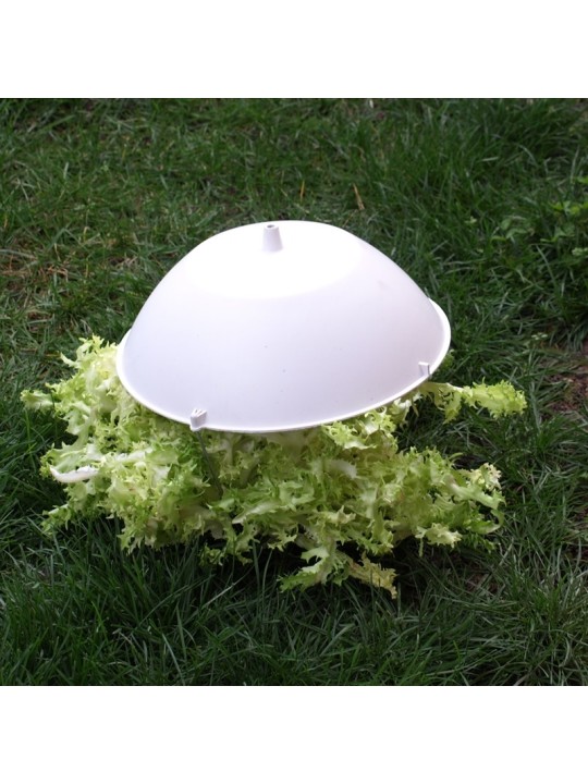 TAPA ESCAROLA 29,5 CMS 