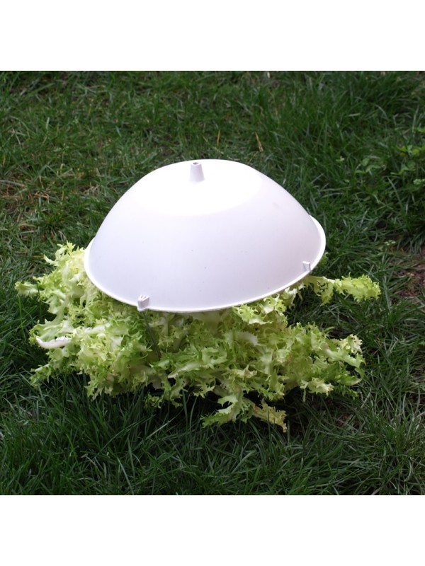 TAPA ESCAROLA 29,5 CMS 
