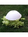 TAPA ESCAROLA 29,5 CMS 